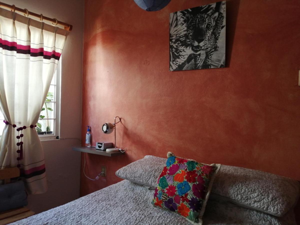 Casa Mixteca Santo Domingo Oaxaca Βίλα Εξωτερικό φωτογραφία