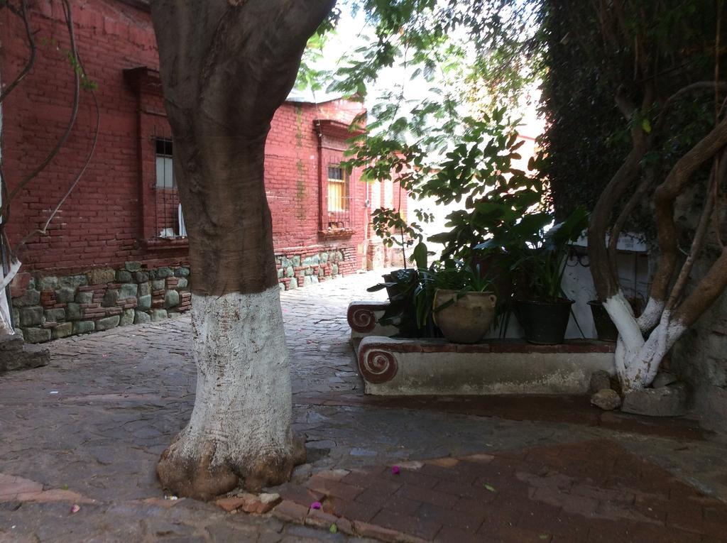 Casa Mixteca Santo Domingo Oaxaca Βίλα Εξωτερικό φωτογραφία