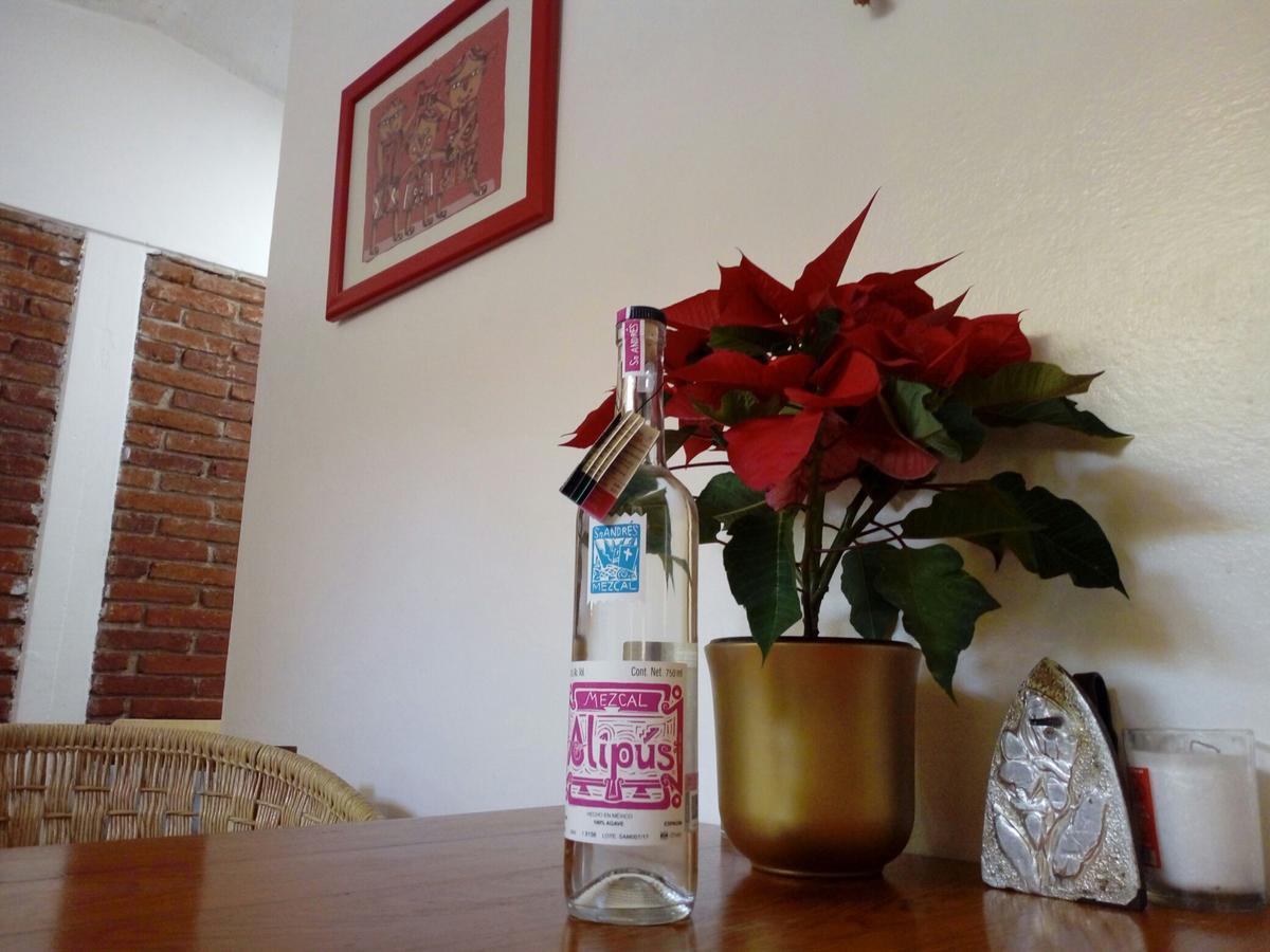 Casa Mixteca Santo Domingo Oaxaca Βίλα Εξωτερικό φωτογραφία